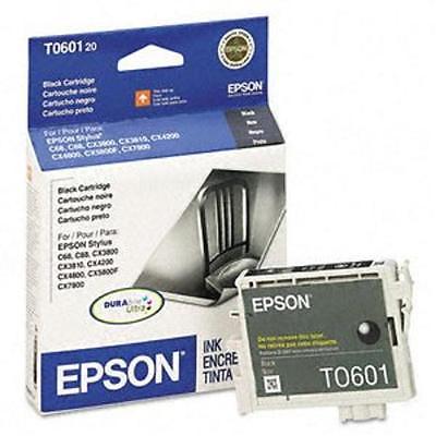 EPSON T060120 (ORIGINAL)